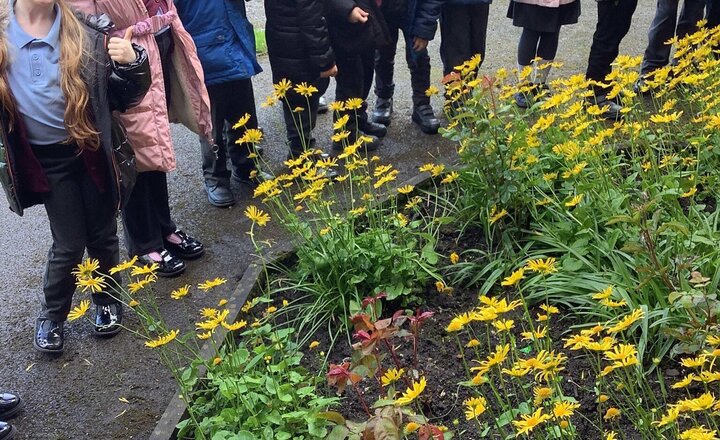 Image of In Science, our new topic is Plants! In our first lesson we went on a nature walk to explore where plants grow and find out what plants we already know.