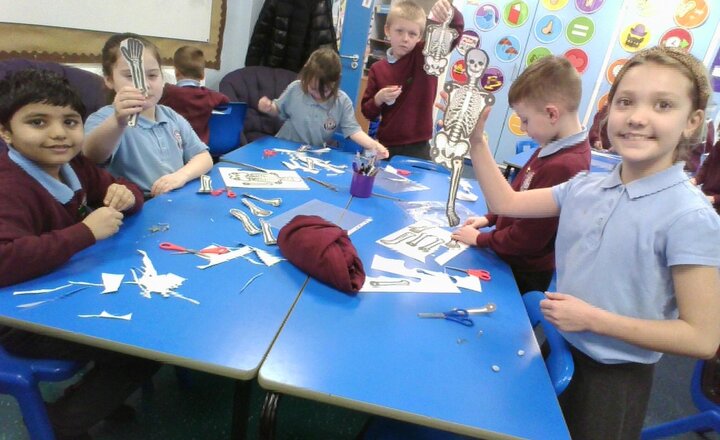 Image of Today in science we have been learning all about the human skeleton. We have made our own skeletons and labelled the different bones.