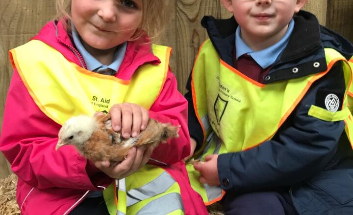 Image of Reception loved their trip to the farm! 